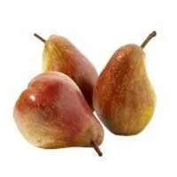 Саженцы груши Сладкая сенсация