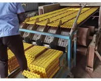 Линия для формовки упаковки из бумажной массы – 4000 шт/ч, Eco-Recycle-Equip